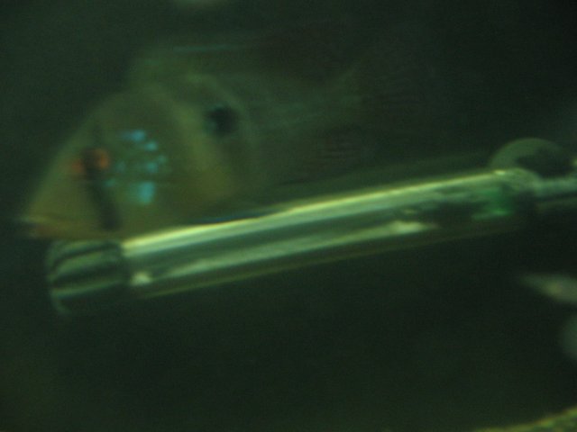 STQ_2156.JPG