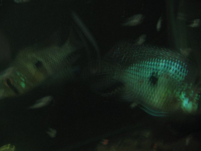 STY_2164.JPG