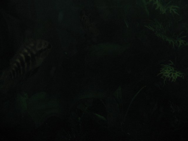 STN_2100.JPG