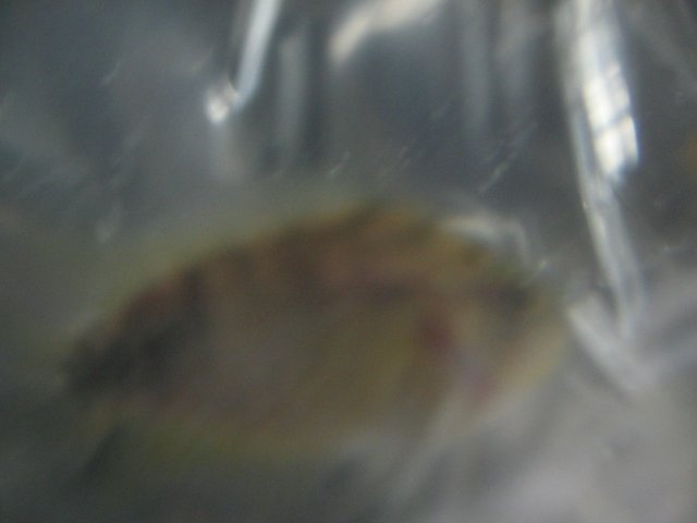 STA_2079.JPG