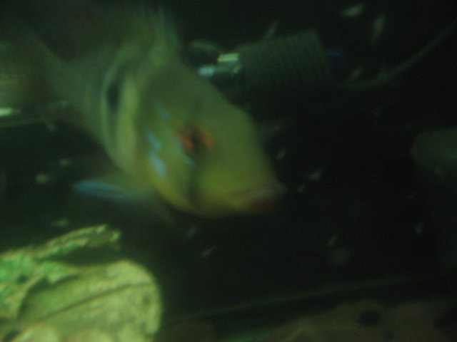 STB_1888.JPG
