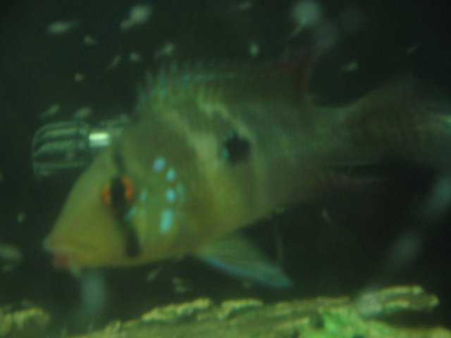 STF_1892.JPG