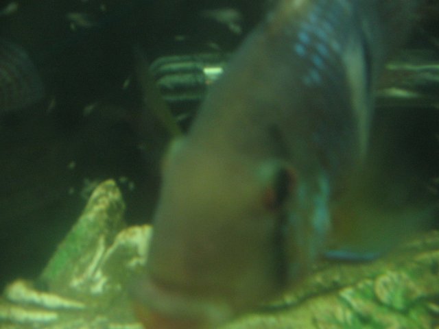 STO_1901.JPG