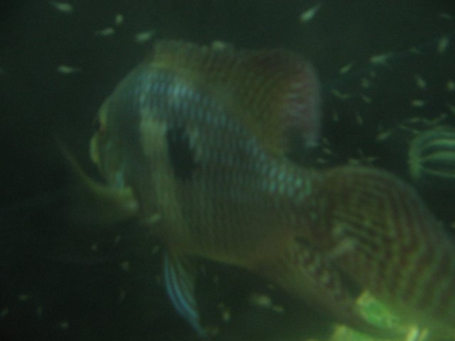 STY_1911.JPG