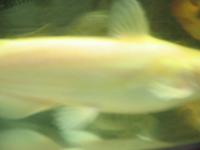 STW_1883.JPG