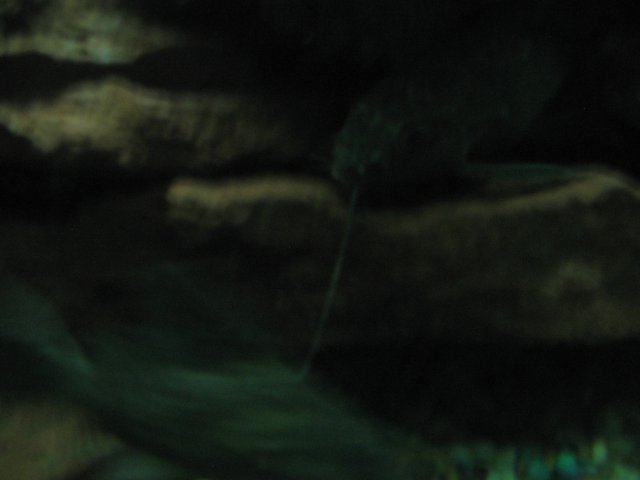 STP_1816.JPG
