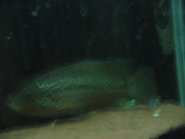 STV_1822.JPG