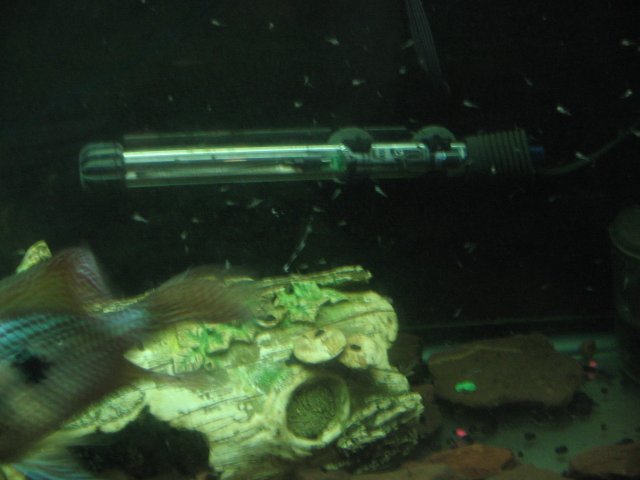 STA_1798.JPG