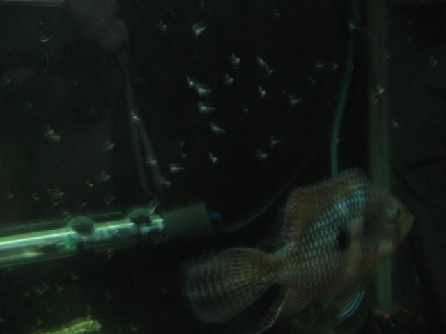 STD_1801.JPG