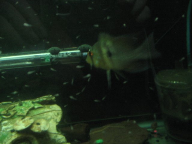 STH_1805.JPG
