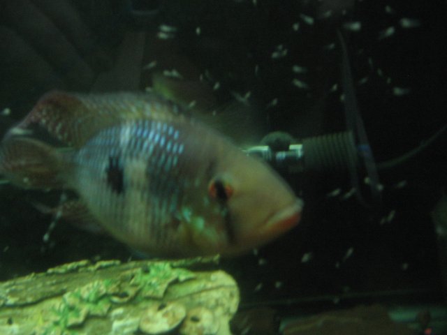 STK_1808.JPG