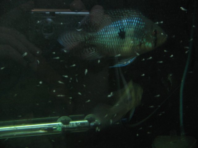 STM_1810.JPG