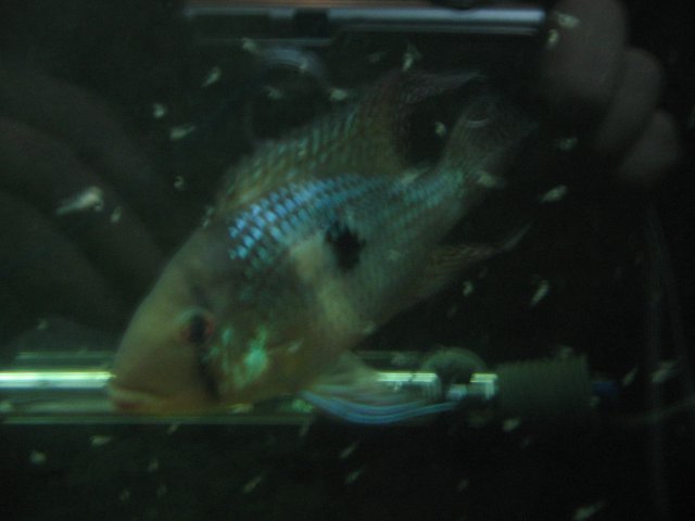 STN_1811.JPG
