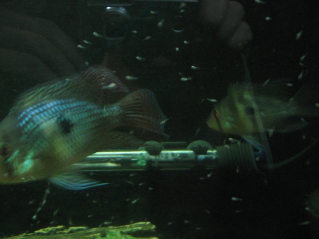 STO_1812.JPG