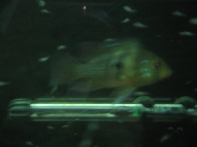 STQ_1814.JPG