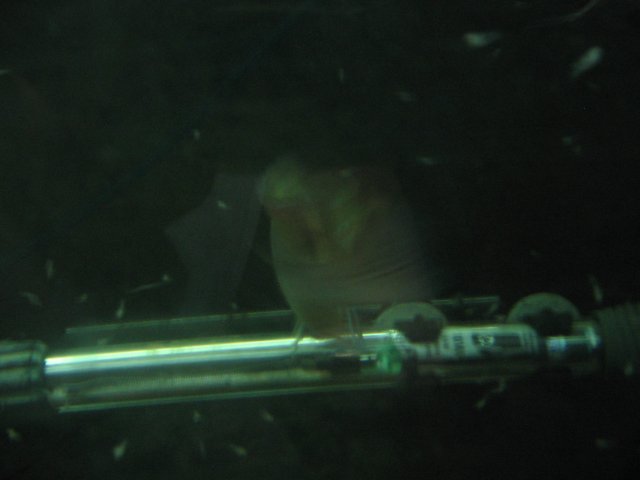 STT_1817.JPG