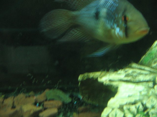 STA_1790.JPG