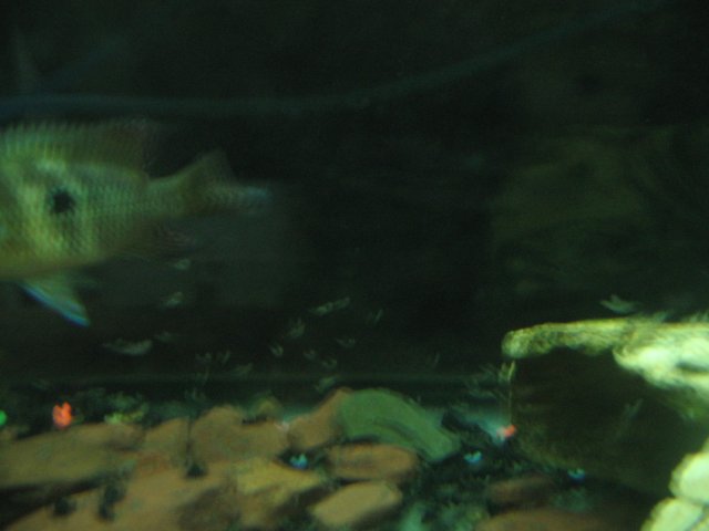 STB_1791.JPG