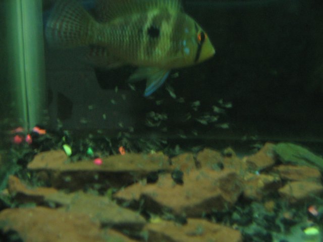 STH_1797.JPG