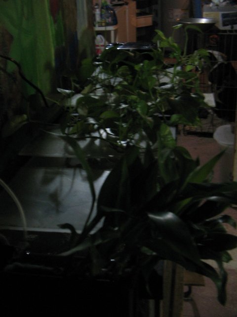 STA_1775.JPG