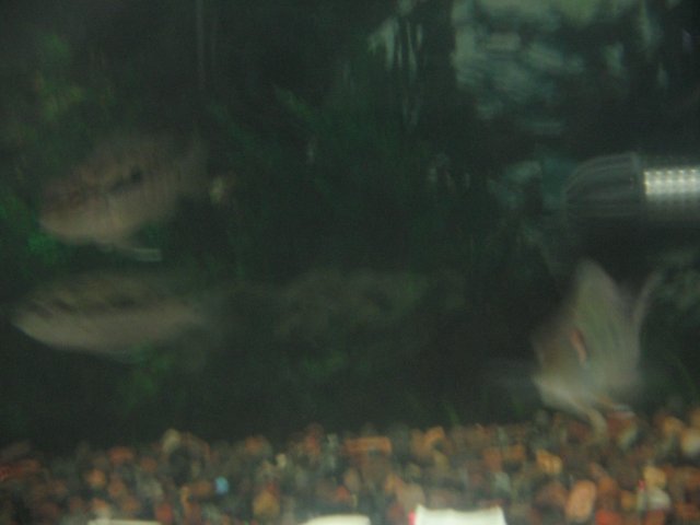 STH_1693.JPG