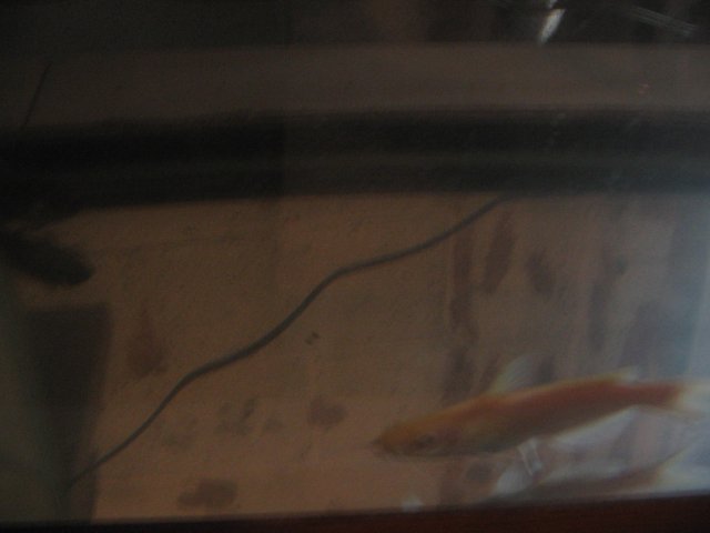 STN_1714.JPG
