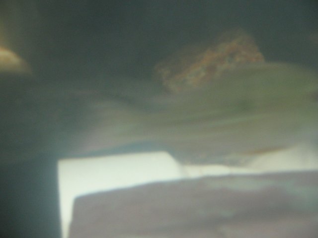 STY_1671.JPG