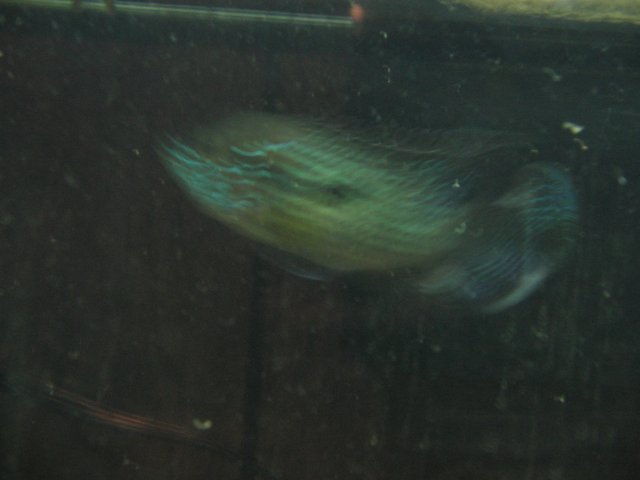 STA_1609.JPG