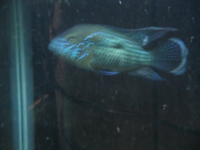 STG_1625.JPG