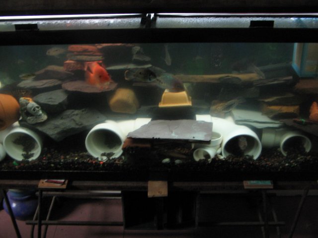 STB_1468.JPG