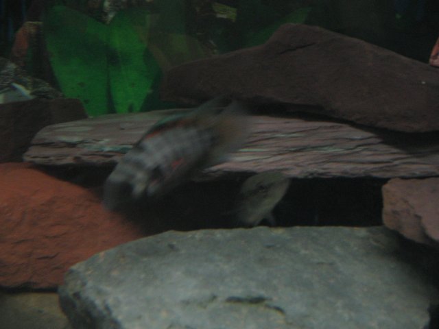 STN_1466.JPG