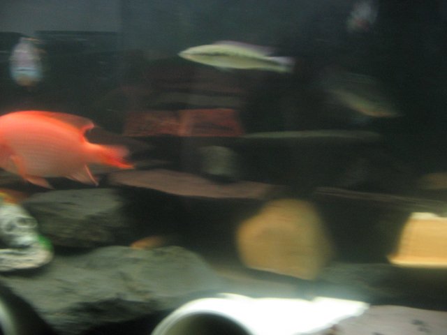 STN_1506.JPG