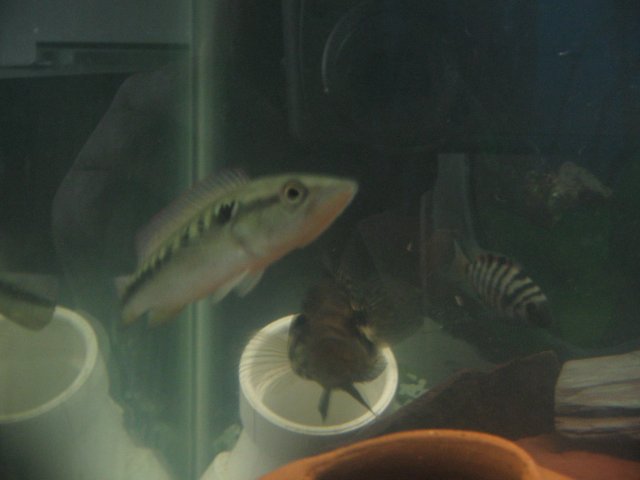 STO_1481.JPG