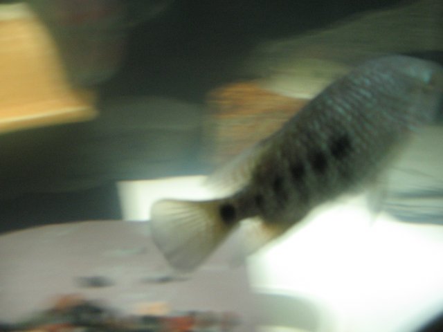 STY_1517.JPG