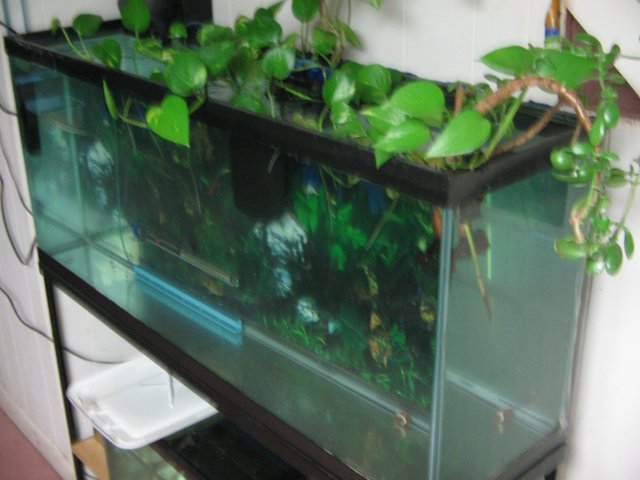 STA_2601.JPG
