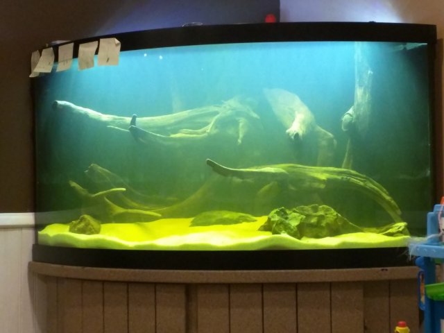 IMG_20170309_064956.jpg