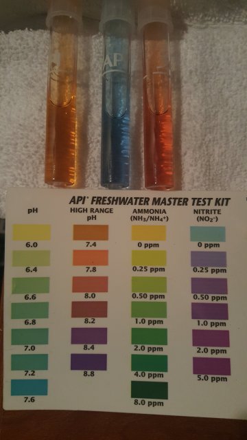 pH samples 2.jpg