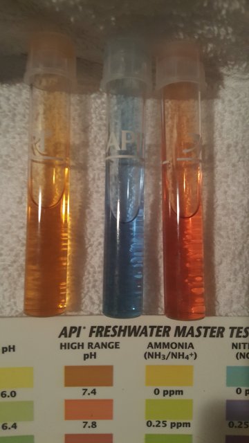 pH Samples.jpg