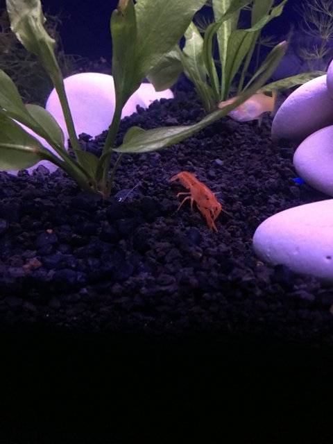 IMG_6221.JPG IMG_6221.JPG