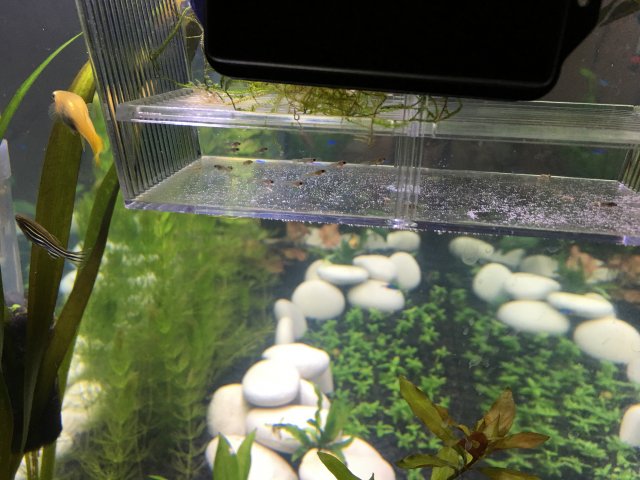 IMG_6208.JPG IMG_6208.JPG