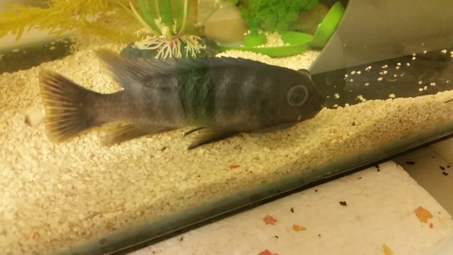 20170320_092244.jpg