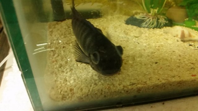 20170320_092234.jpg