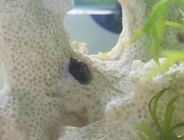 20170324_074538.jpg 20170324_074538.jpg