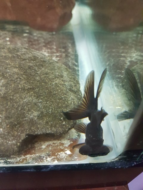 20170324_174726.jpg