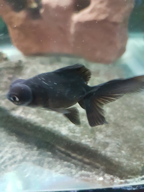 20170324_174649.jpg