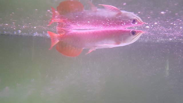 20170326_123021.jpg