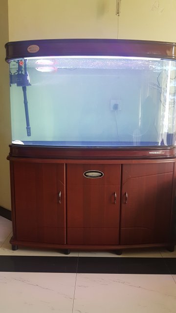 IMG-20170326-WA0071.jpeg
