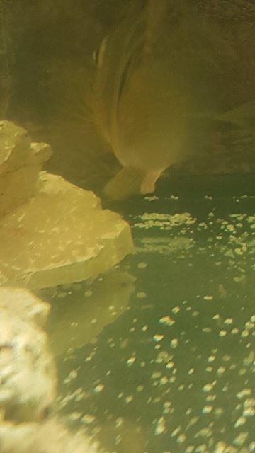 20170329_185255.jpg