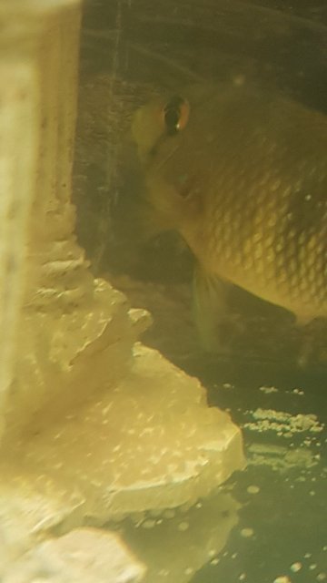 20170329_185234.jpg