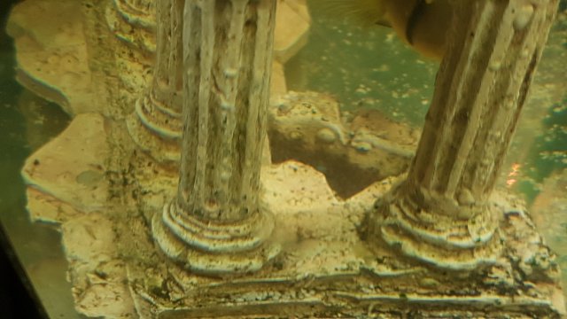 20170331_210845.jpg